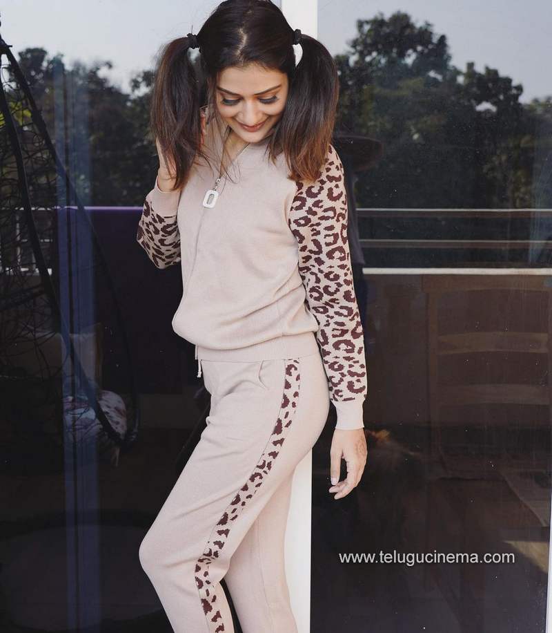 payalrajput stills 081120001