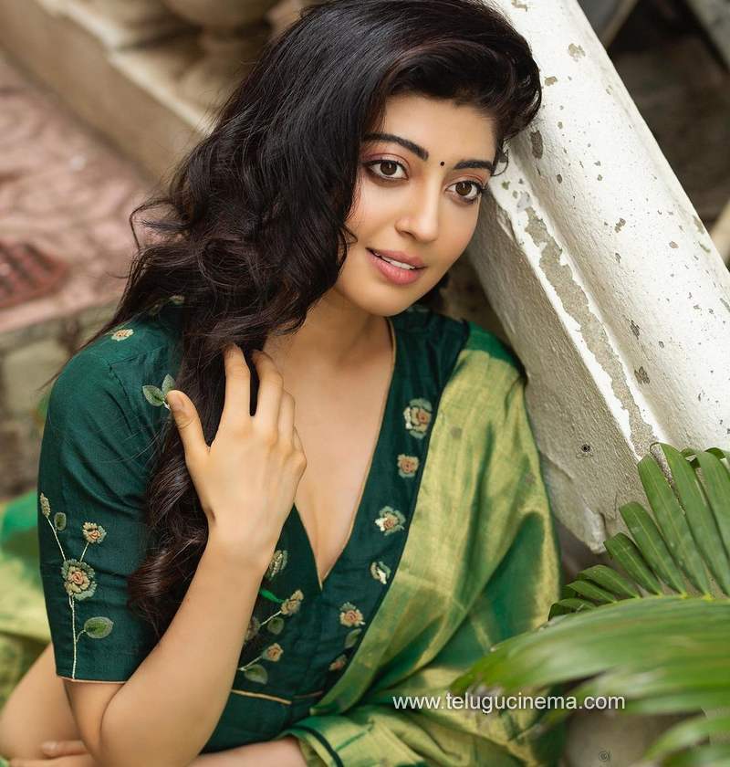 pranitha stills 171120 001