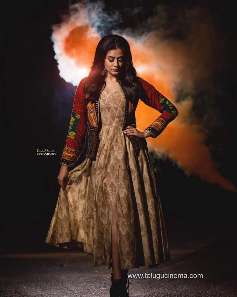 priyamani stills 111120 005