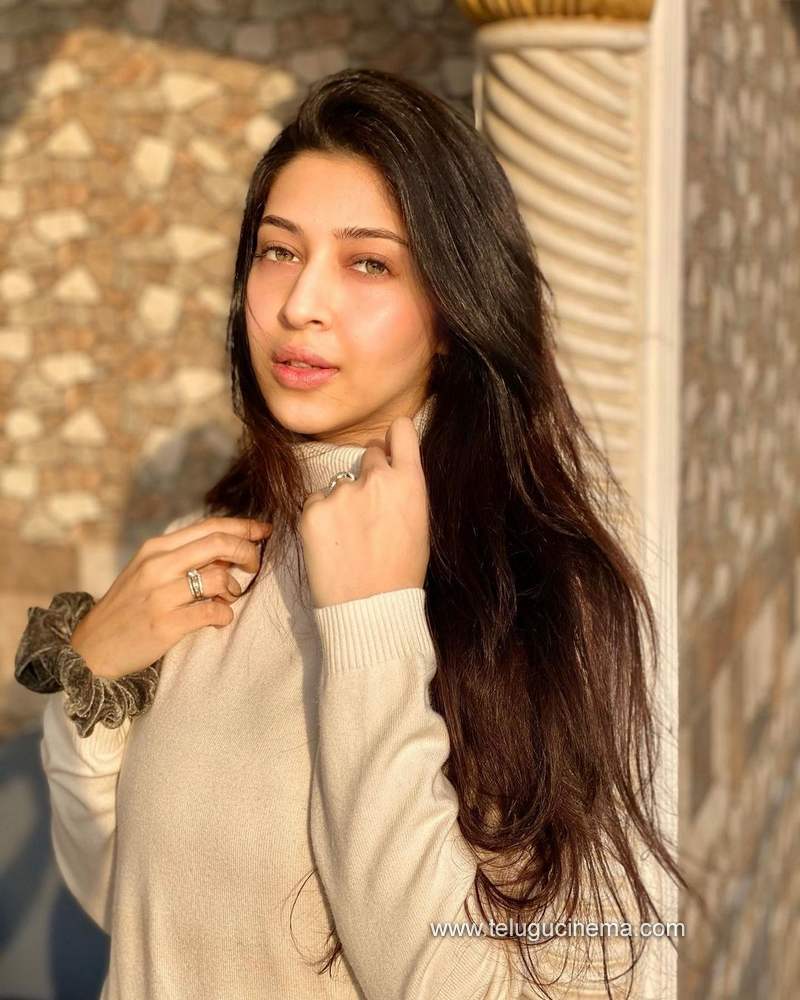 sonarika stills 231120 002