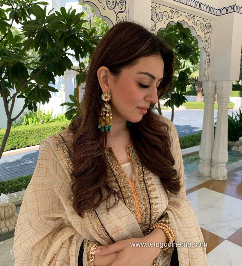 hansika stills 041220 001
