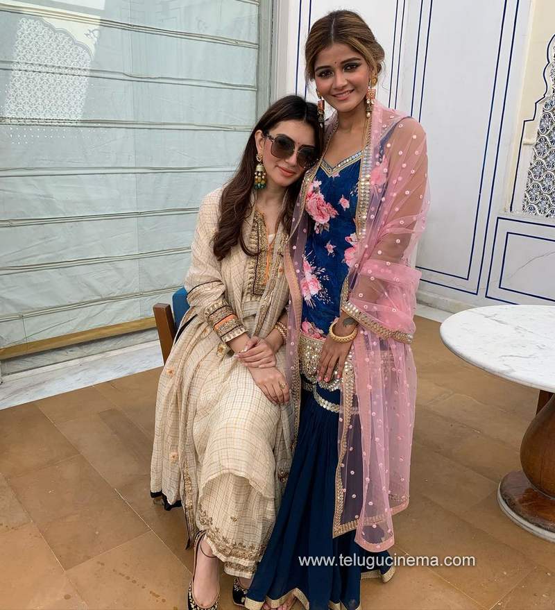 hansika stills 041220 004