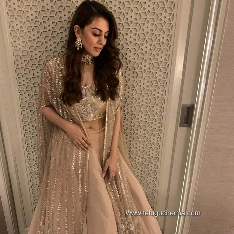 hansika stills 041220 006