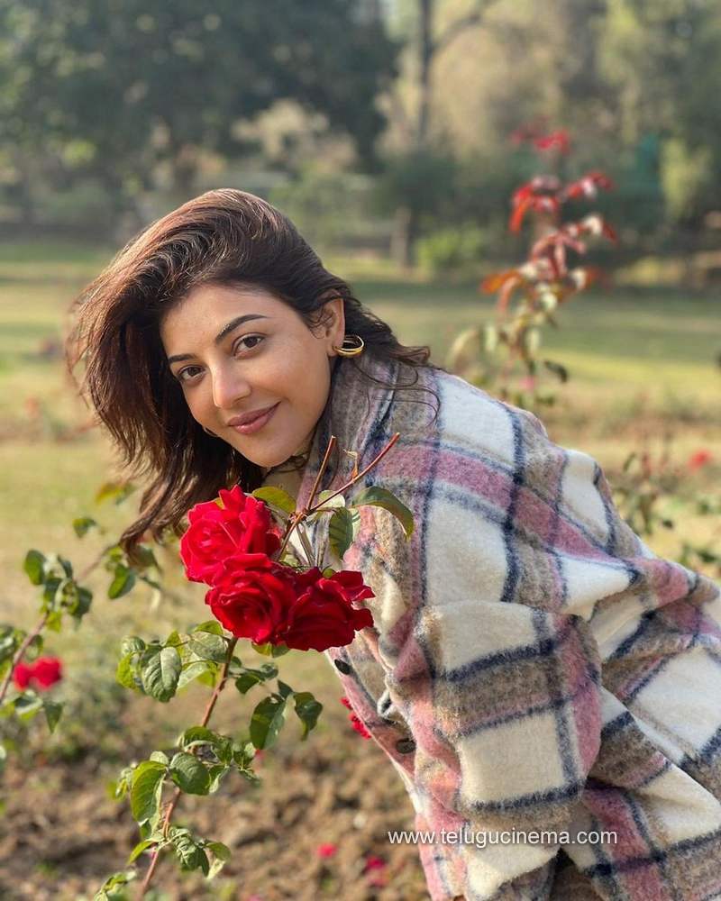 kajalagerwal stills 301220 002