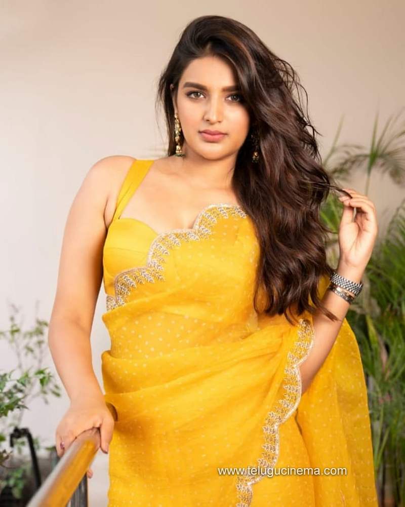 niddiagerwal stills 291220 002