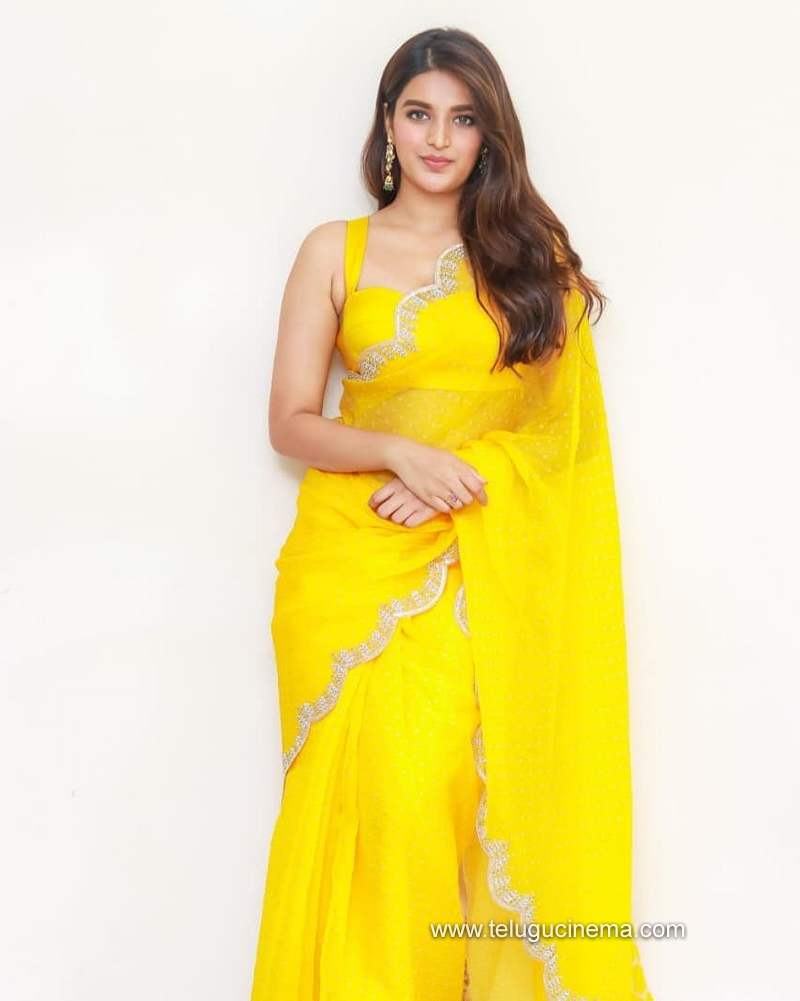 niddiagerwal stills 291220 004