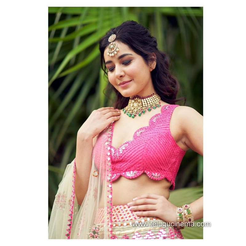 raashikhanna stills 241220 003