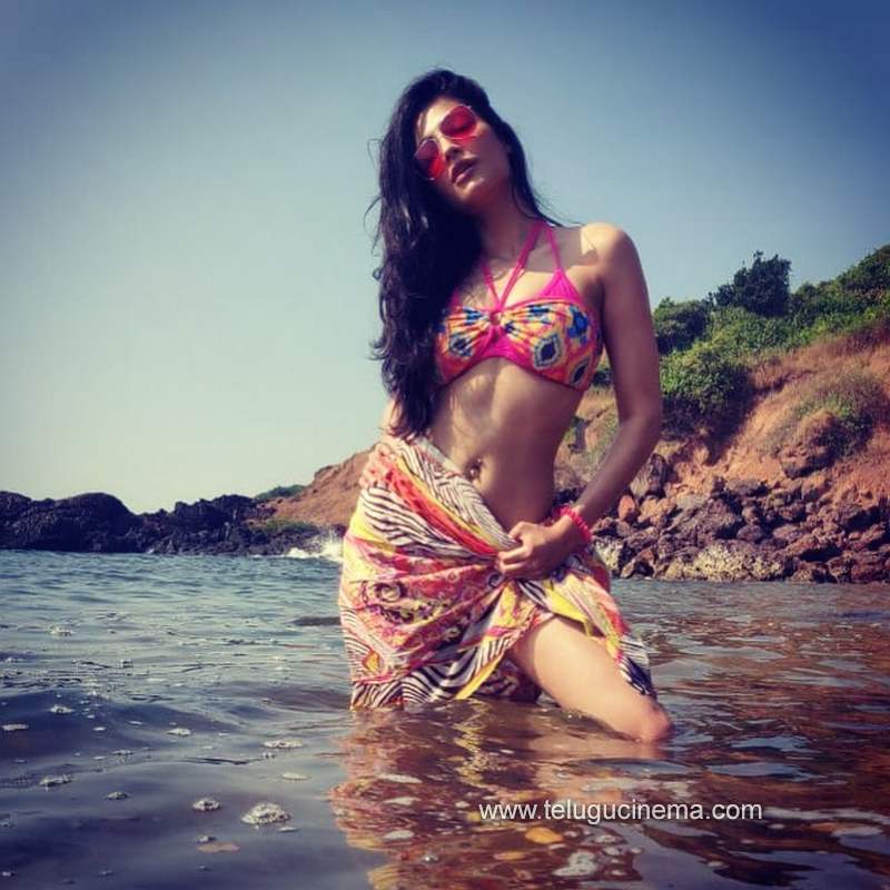shruthihasan stills 011220 001