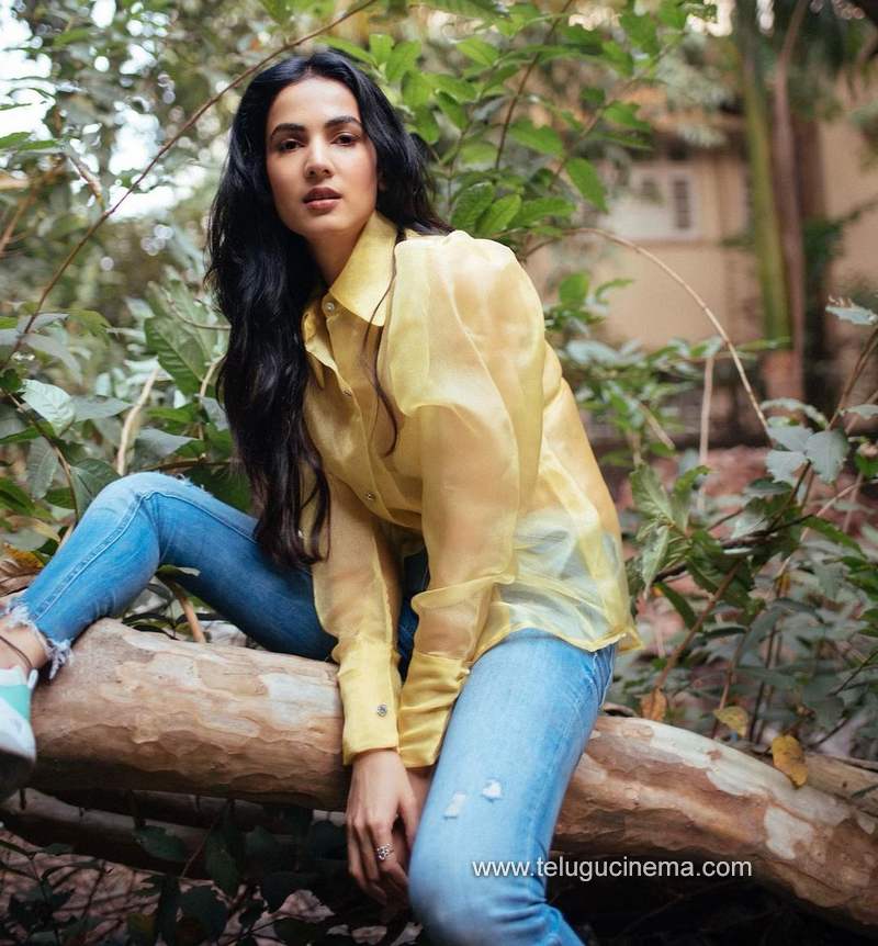 sonal stills 111220 001