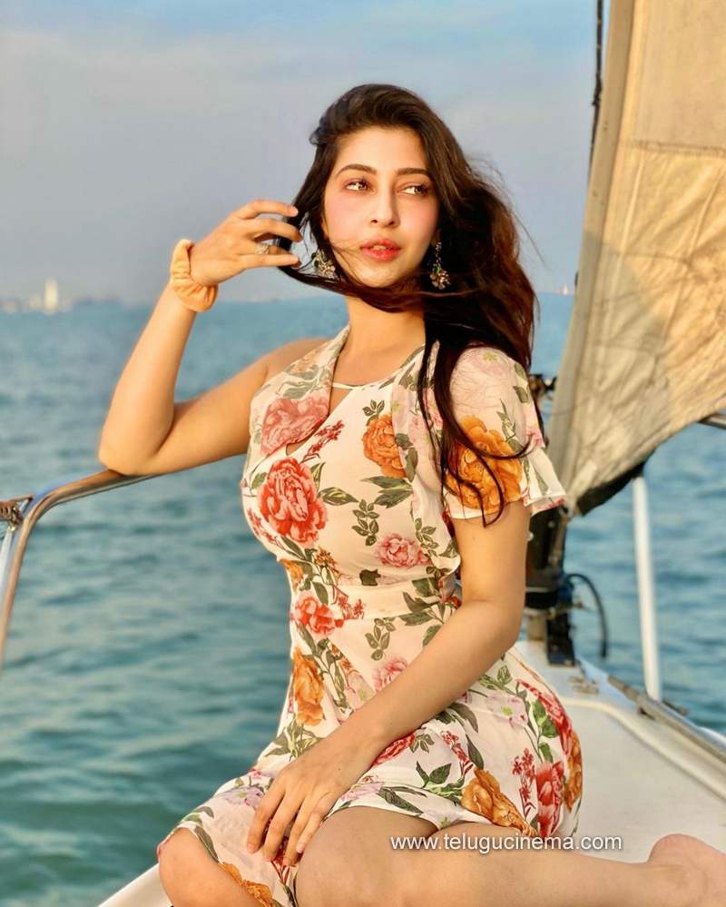 sonarika stills 231220 003