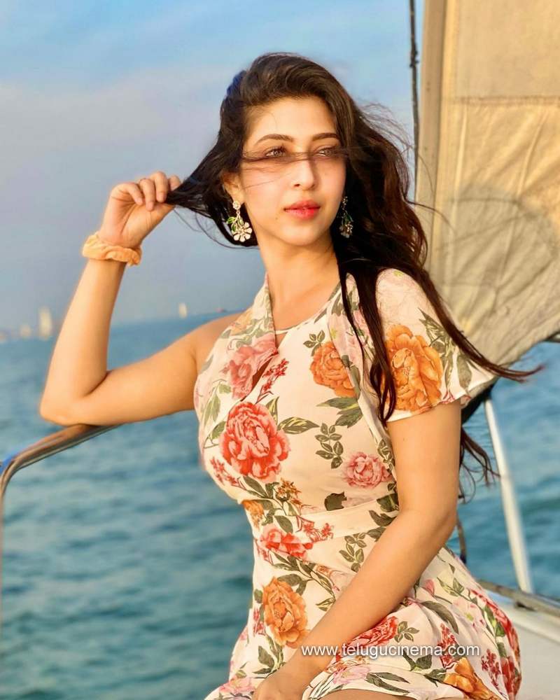 sonarika stills 231220 004