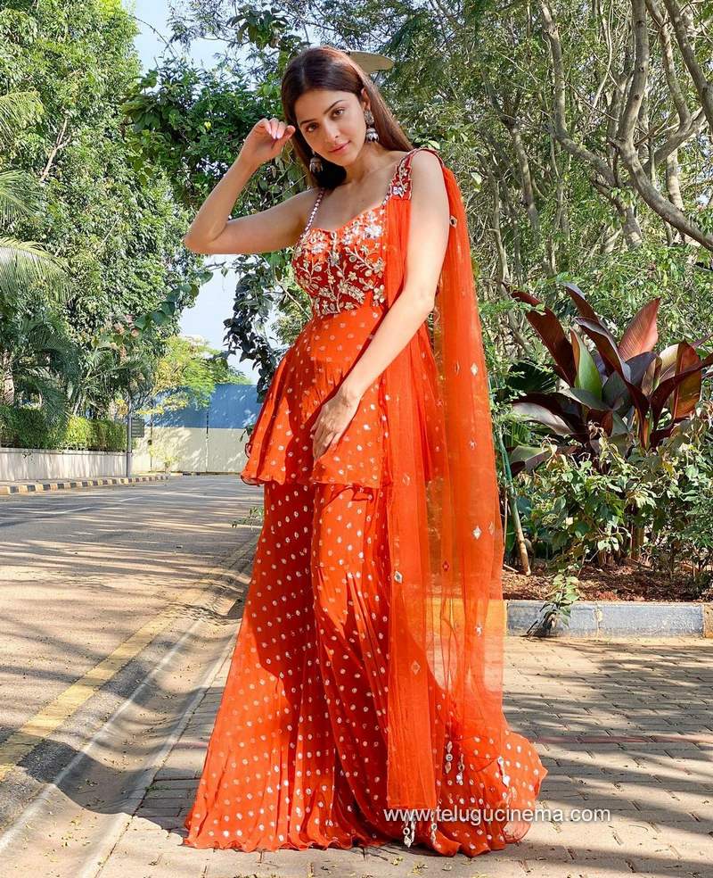 vedhika stills 241220 001