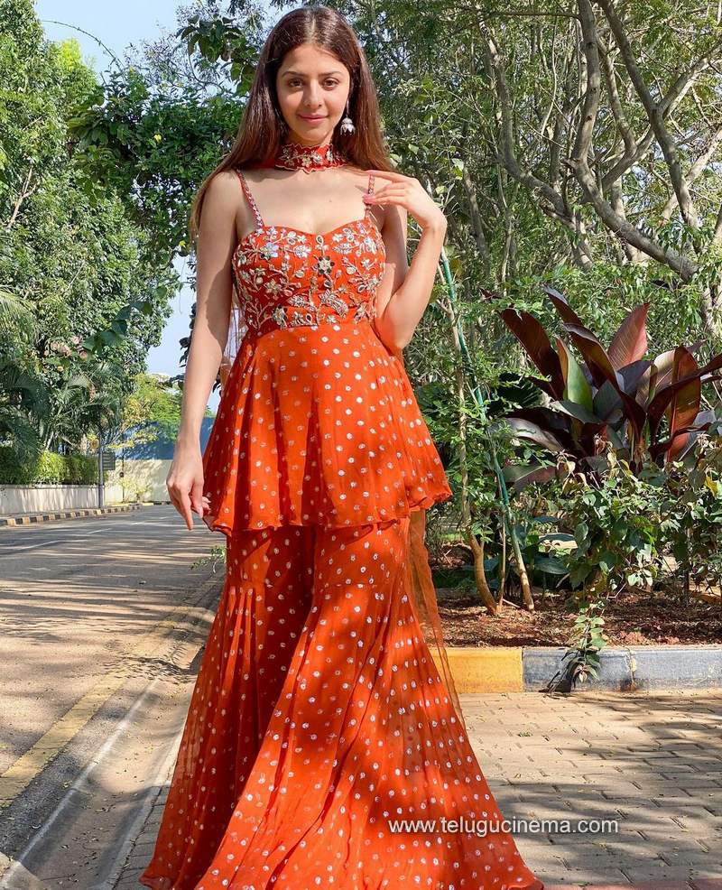 vedhika stills 241220 002