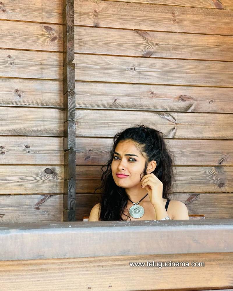 divi stills 06012100001