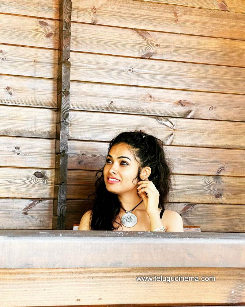 divi stills 06012100004