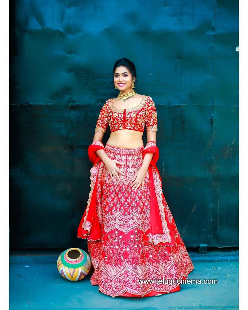 divi stills 16012100001