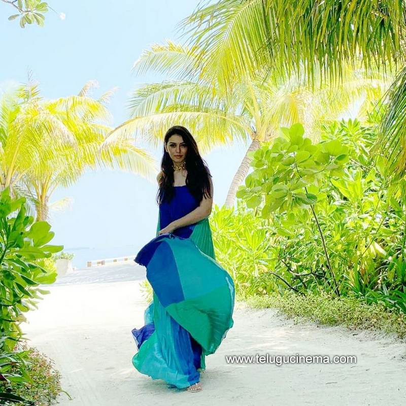 hansika stills 16012100001