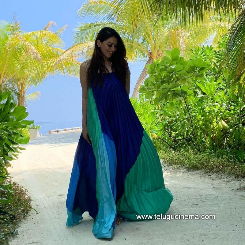 hansika stills 16012100002