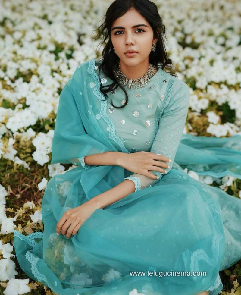 kalyanipriyadarshini stills 030121 002