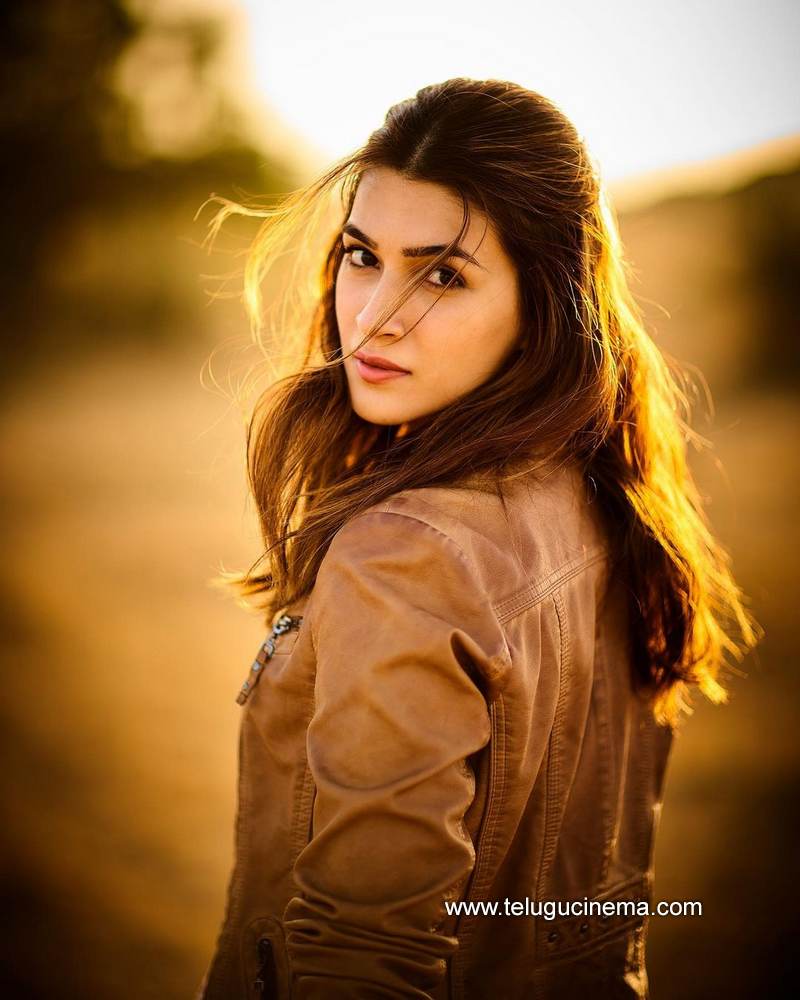 kritisanon stills 29012100001