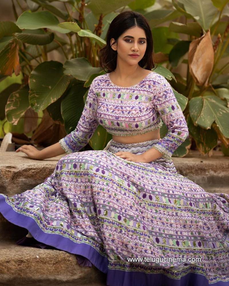 nabhanatesh stills 09012100001