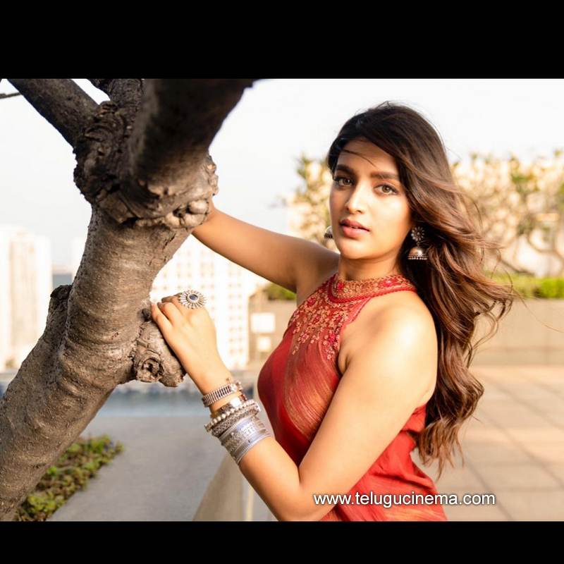 nidhiagerwal stills 07012100006