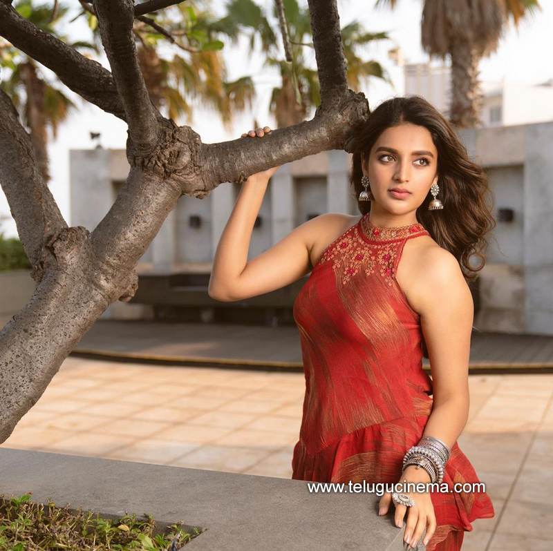 nidhiagerwal stills 07012100007