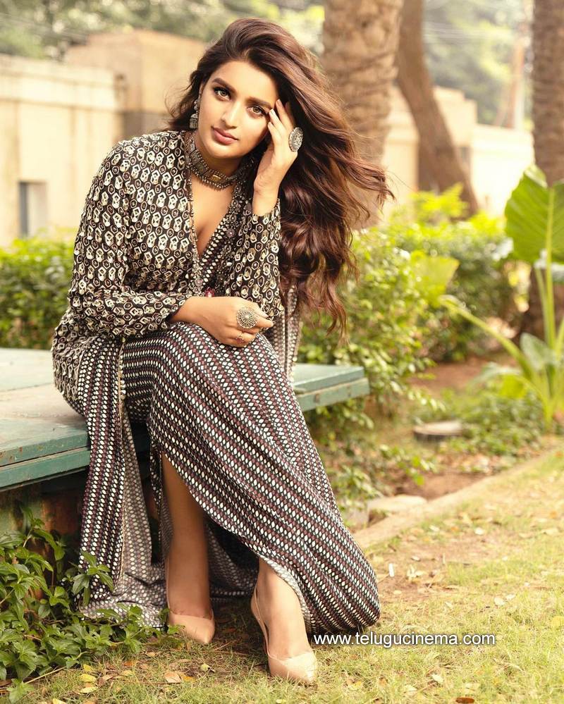 nidhiagerwal stills 09012100001