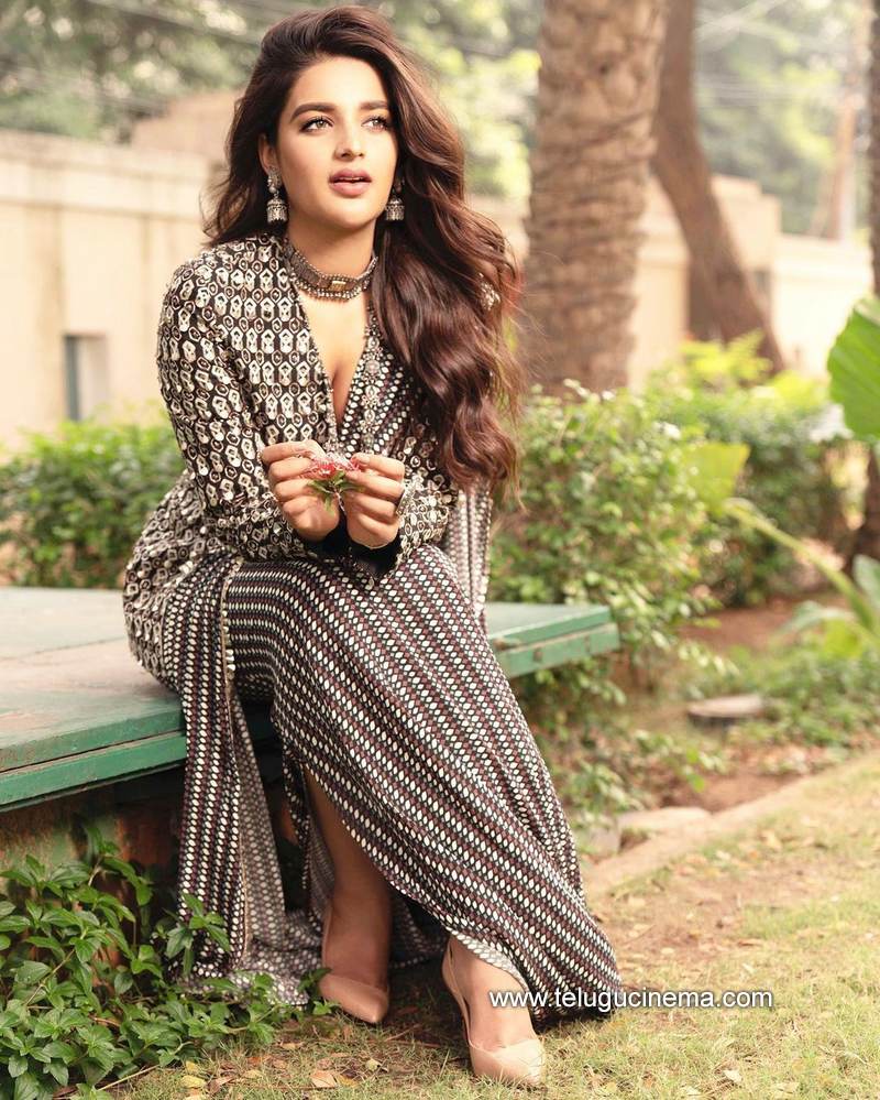 nidhiagerwal stills 09012100002