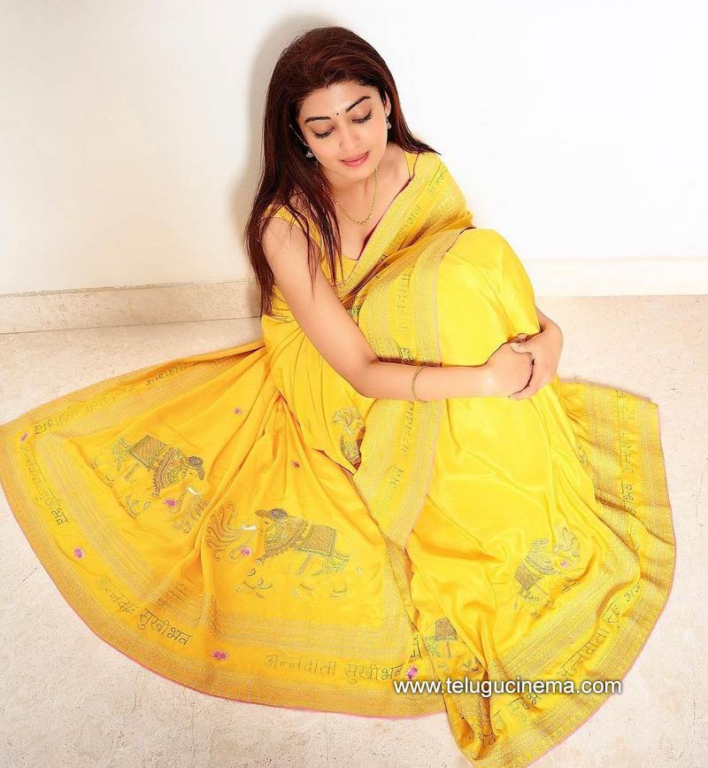 pranitha stills 15012100003