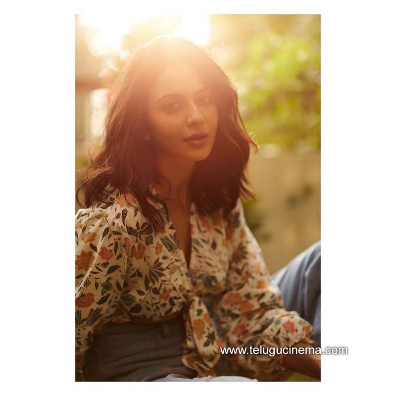 rakulpreethsingh stills 24012100001
