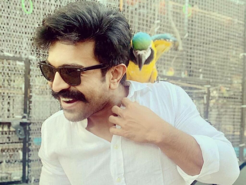 Ram Charan