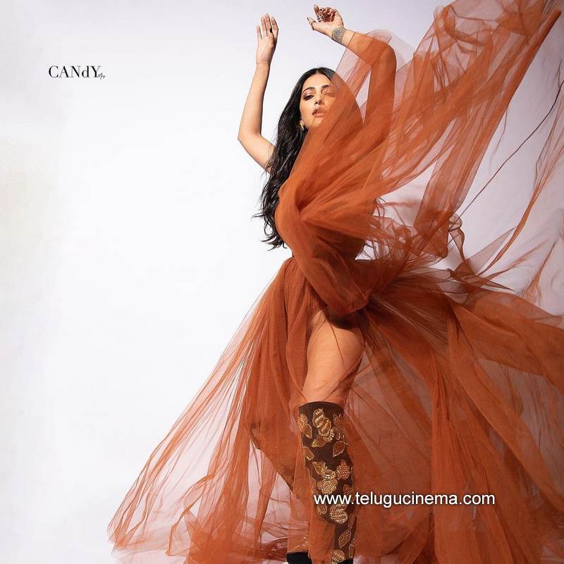 shruthuhasan stills 12012100005