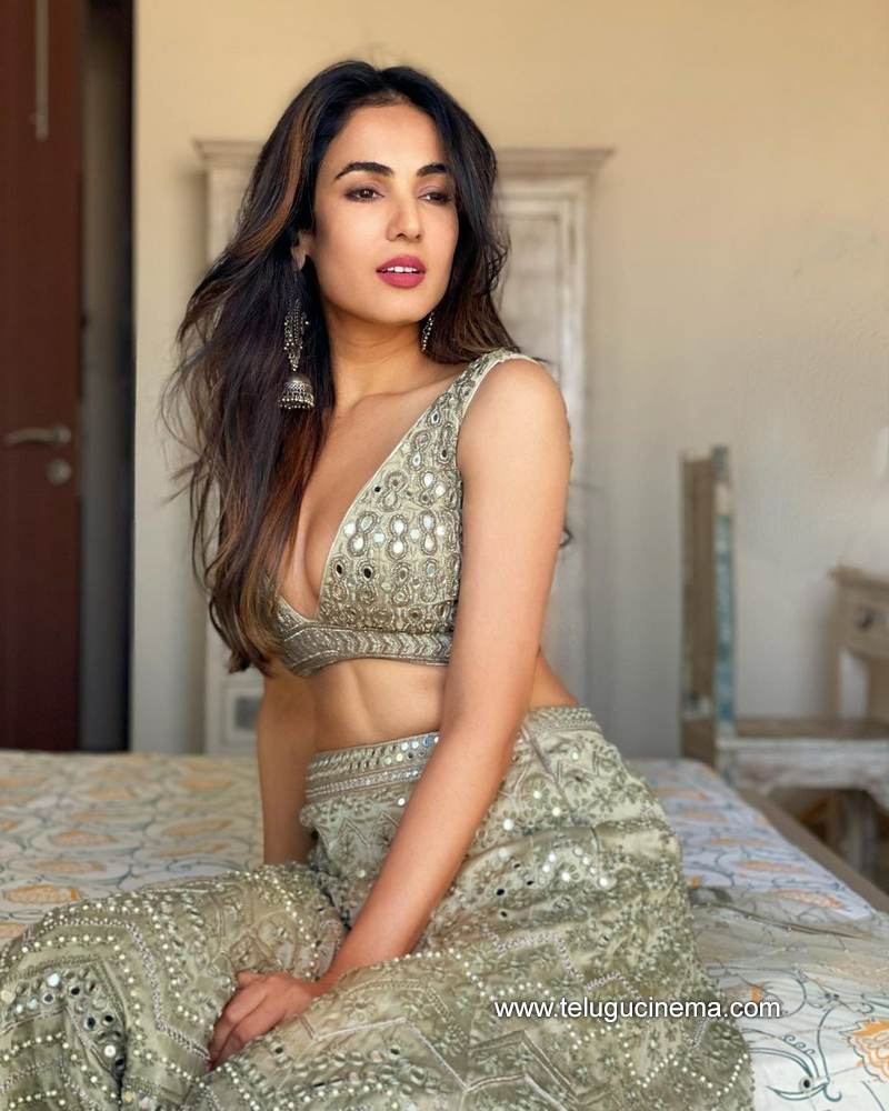 sonal stills 31012100001