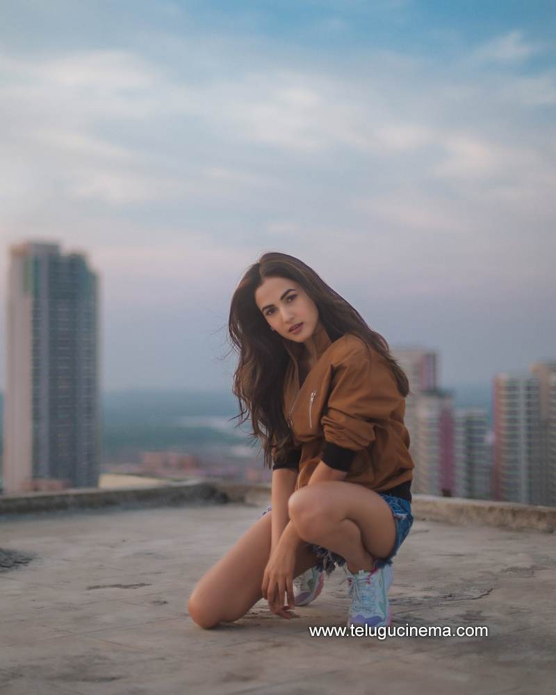 sonalchouhan stills 19012100002