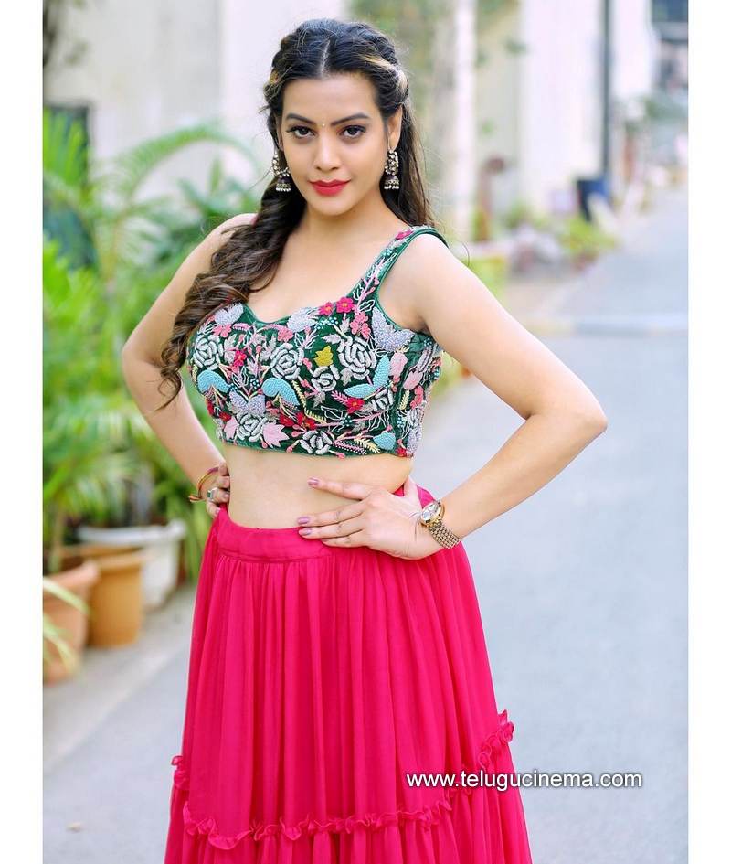 diiksha stills 17022100004