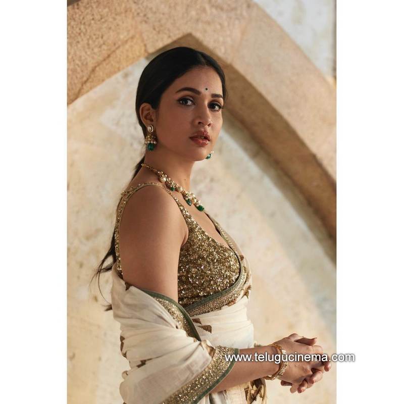 lavanyatripati stills 17022100002