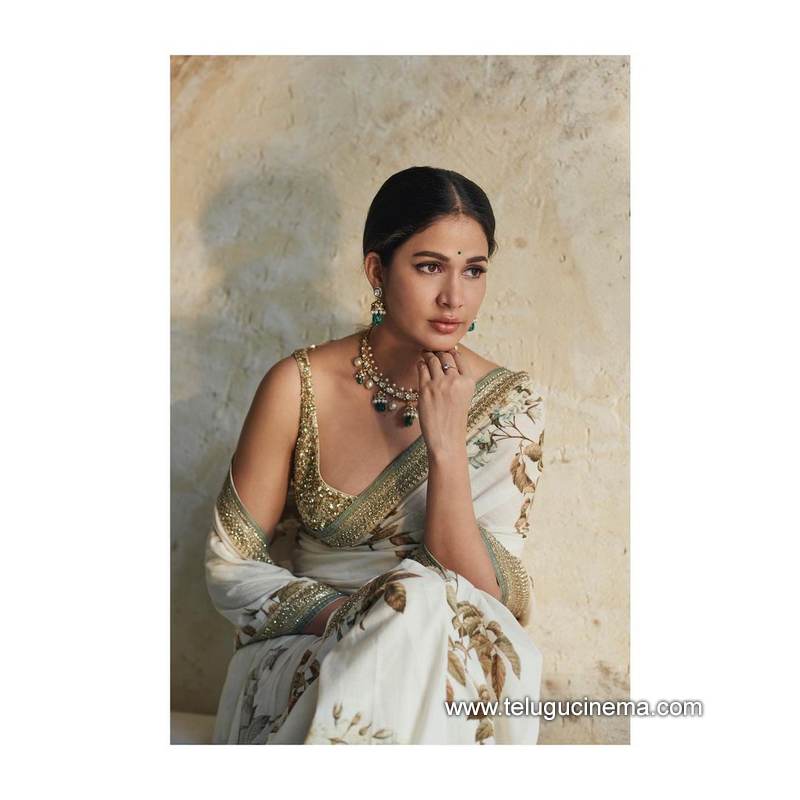 lavanyatripati stills 17022100004