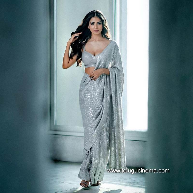 malavikamohanon stills 10022100001