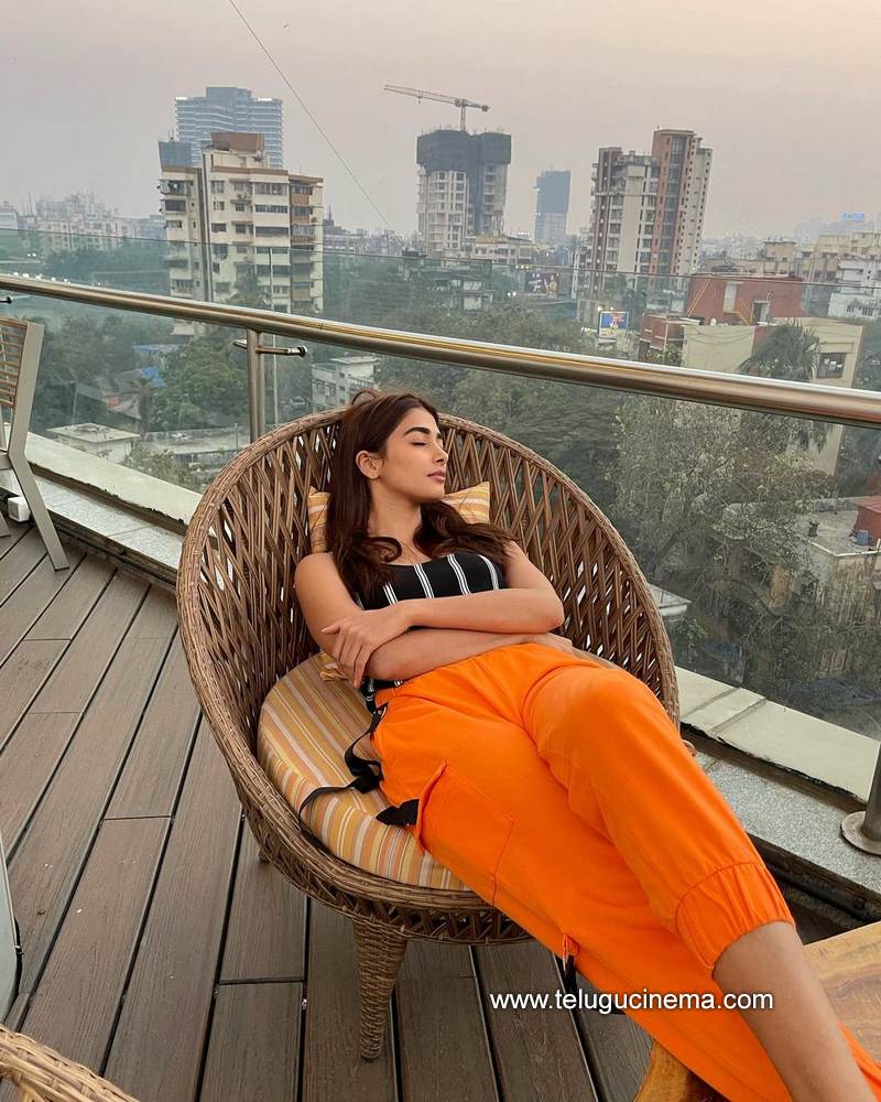 poojahegde stills 15022100001