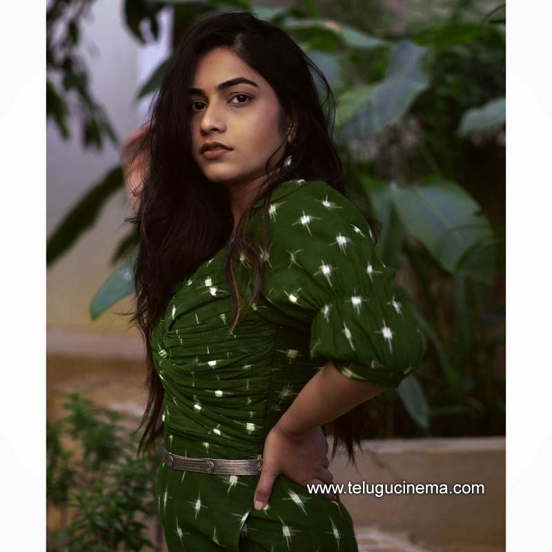 punarnavi stills 10022100001