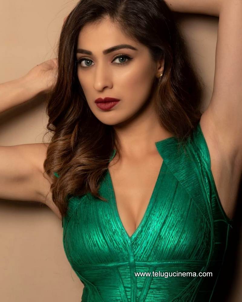 raailakshmi stills 02022100002