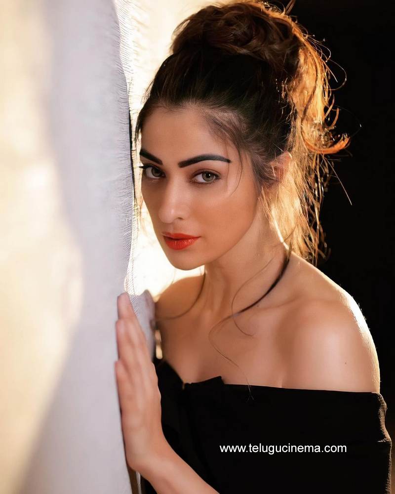 raailaxmi stills 10022100001