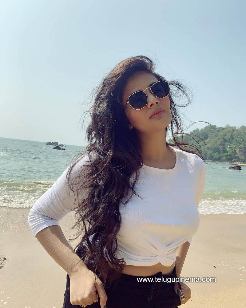 sreemukhi stills 06022100001