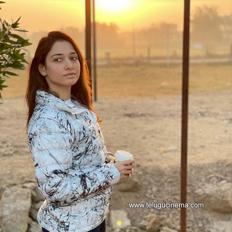 tamannah stills 09022100001