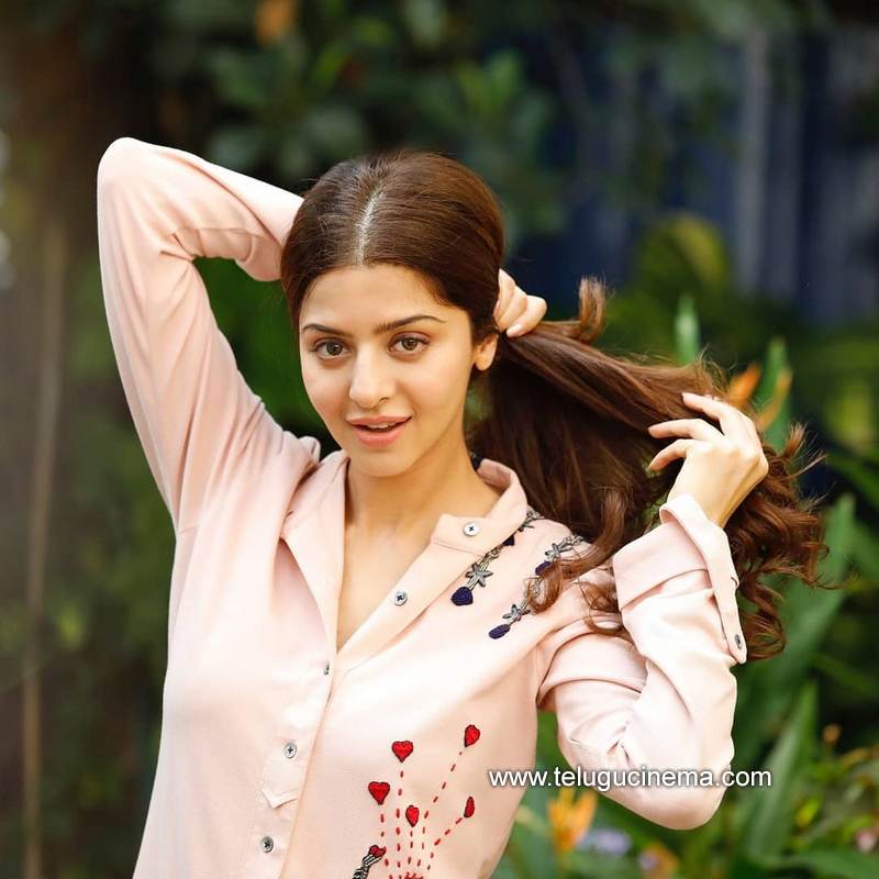 vedhika stills 12022100003
