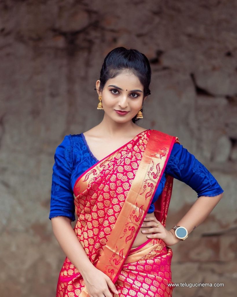 Ananya Nagalla in a Silk Saree pose | Telugu Cinema
