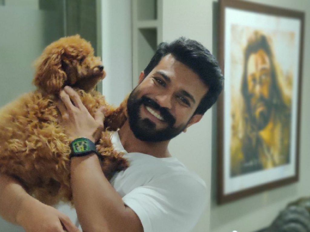 Ram Charan welcomes new puppy into the family | Telugu Cinema