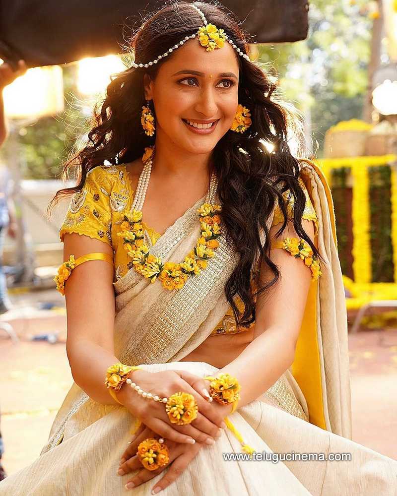 Pragya Jaiswal saree stills - South Indian Actress