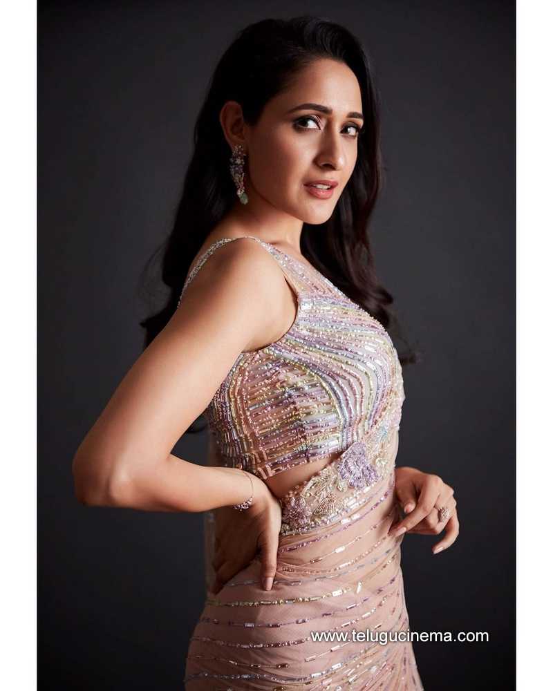 Pragya Jaiswal in six yeards of elegance | Page 2 | Telugu Cinema